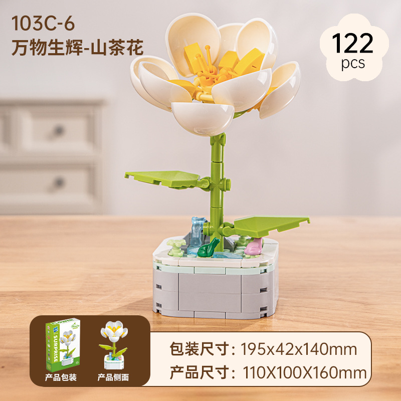 Camellia