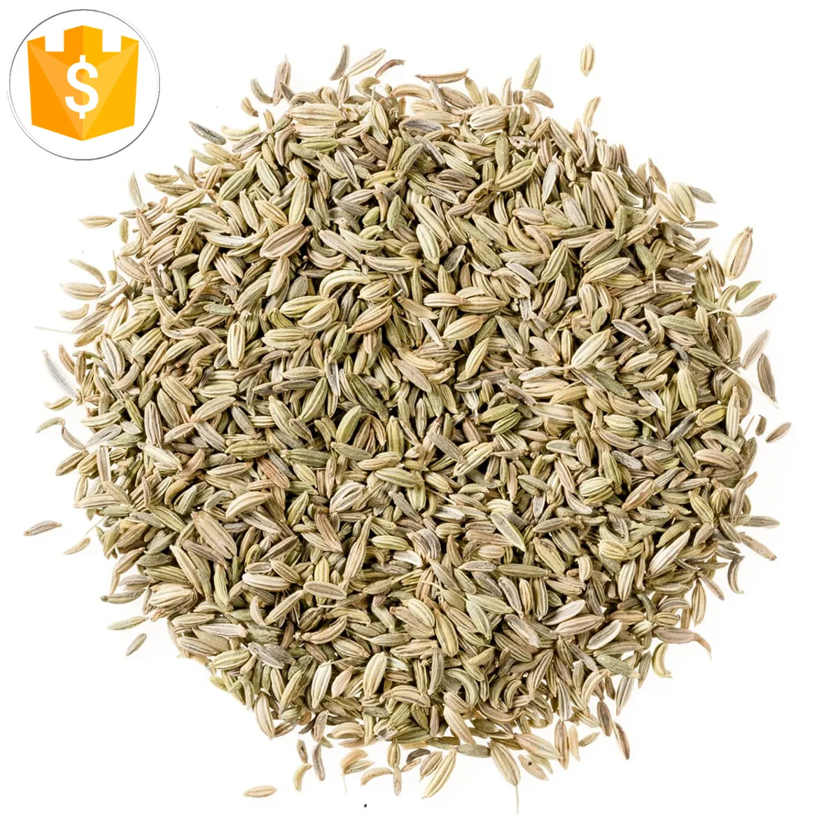 oem hot sale poudre de fenouil dried ground fennel seeds whole