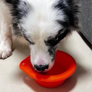 Nuevo diseño de lujo, cuenco de alimentación portátil de viaje para mascotas, cuenco plegable de silicona para perros y cachorros, cuenco de agua plegable para perros y gatos - Product Image 5