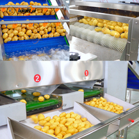 Industriële tomaten-, radijs-, wortel-, komkommer- en borstelwasmachine, groente- en fruit sorteermachine, aardappelwas- en sorteerlijn