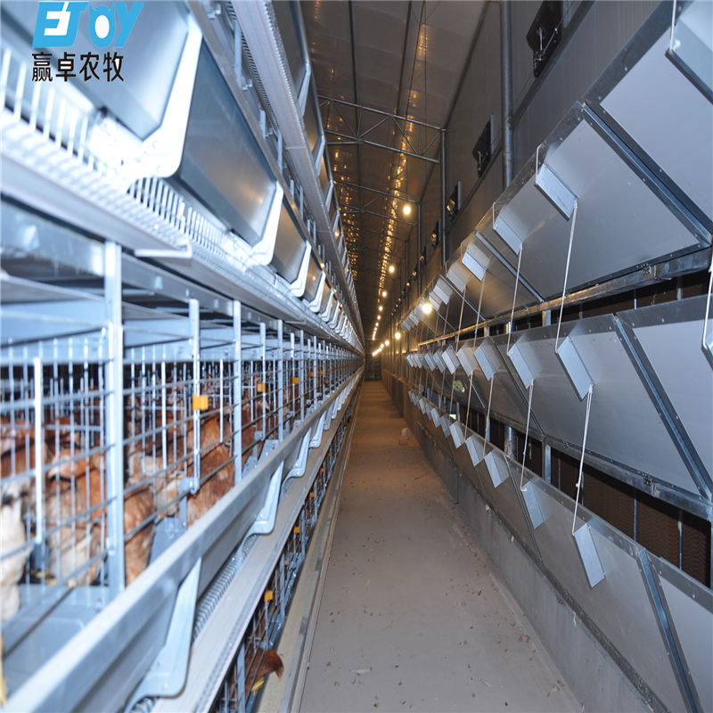 Système de Porte de Tunnel Pour Ferme Avicole
