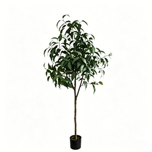 Ramo de eucalipto preservado versátil con hojas naturales de color verde plateado para relleno de jarrones y decoración de paredes - Product Image 1