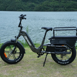 Zerco 2025 C1 potente 250w a lungo raggio 20 pollici grasso pneumatico <span class=keywords><strong>Cargo</strong></span> elettrico bici bicicletta Ebike per la consegna delle merci con seggiolini per bambini - Product Image 1
