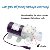 Mini pompe auto-amorçante de qualité alimentaire 12V/24V/48V 80W 8L/MIN Pompe à eau haute pression CC pour lait vin boisson