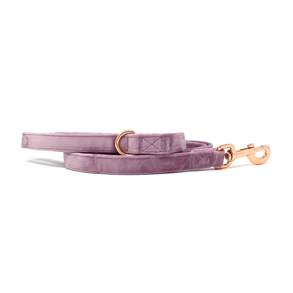Leash