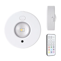 Lampe LED sans fil RGB rechargeable par USB, design moderne, pour intérieur, sous armoire, placard, avec télécommande
