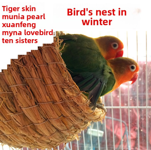 Herbe tissée oiseau <span class=keywords><strong>Pigeon</strong></span> chaud suspendu peau <span class=keywords><strong>de</strong></span> tigre <span class=keywords><strong>nid</strong></span> <span class=keywords><strong>de</strong></span> perroquet fournitures <span class=keywords><strong>de</strong></span> <span class=keywords><strong>nid</strong></span> d'élevage - Product Image 2