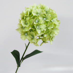 ดอกไฮเดรนเยียปลอมขนาดใหญ่สำหรับงานแต่งงาน วันวาเลนไทน์ และวันขอบคุณพระเจ้า สีเหลืองม่วง ของตกแต่งแบบนุ่ม ขายส่ง - Product Image 3