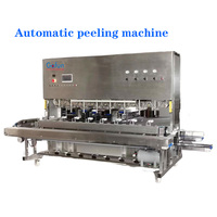 2000 Kg/u Industriële Mango Schilmachine Volautomatische Intelligente Fruit-En Groenteschilmachine