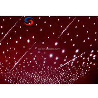 Lumière de ciel étoilé en fibre optique personnalisée pour le plafond de voiture