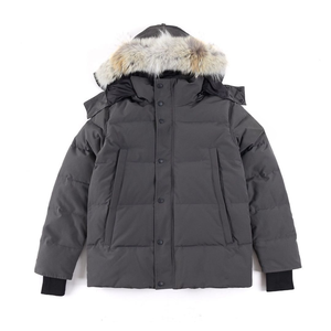 Chaqueta Acolchada Impermeable y Cortavientos de Primera Calidad al por Mayor, Chaqueta de Invierno Gruesa con Capucha, Parka con Ribete de Piel de Coyote Auténtica en la Parte Delantera - Product Image 2