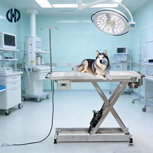 Table d'opération vétérinaire en acier inoxydable poli avec élévation électrique, adaptée aux hôpitaux vétérinaires - Product Image 1
