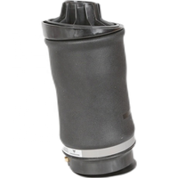 2513200425 2513200325 2513200025 Amortisseur pneumatique arrière, ressort de suspension pneumatique pour Mercedes-Benz Classe R W251