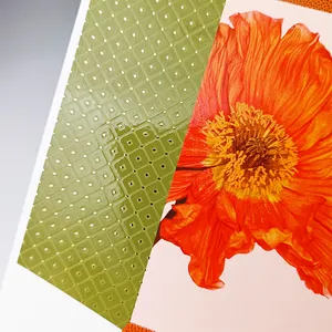 Custom Premium 3D Varnish Embossed Foil Spot UV Leaflet Manual Booklet Brochures Gift Voucher Books Flyer Printing Service