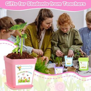 50 Juegos de Macetas de Plástico Ligeras para Jardín, Kit de Manualidades, Bandejas, Pegatinas, Paquetes de Semillas de Flores Silvestres (No Incluidos), Regalos para <span class=keywords><strong>Estudiantes</strong></span> - Product Image 5
