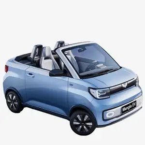 China Electric Vehicle Wuling Mini EV Convertible double door double seat 30kw 280km adult used car