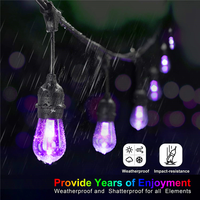 Guirlandes lumineuses d'extérieur RGBW de 48 pieds, résistantes aux intempéries, télécommande, changement de couleur, guirlandes lumineuses de café avec ampoules S14 incassables