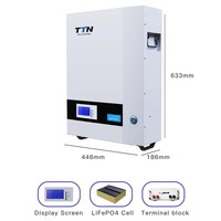 TTN vente en gros 51.2V 100Ah batterie au lithium-ion montée sur rack batterie Lifepo4 pour systèmes d'alimentation électrique batterie au lithium de stockage à domicile