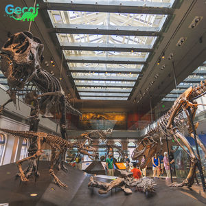 Gecai Venta de Fósiles de Dinosaurio T-Rex, Cabeza de Dinosaurio Artificial de Resina, Tamaño Real, en Venta - Product Image 6