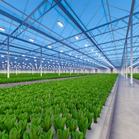 Serre moderne multi-voûtes en polycarbonate avec structure en acier galvanisé à chaud pour l'agriculture commerciale
