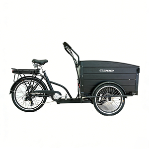 Triciclo Elettrico da Carico a Tre Ruote con Motore al Mozzo Posteriore e Batteria da 36V, Disponibile in Polonia, Bici Cargo Elettrica dal Magazzino Europeo - Product Image 1