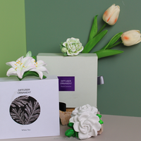 Diffuseur de parfum personnalisé avec logo, diverses pierres aromatiques en argile parfumée pour voiture et maison