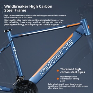 Оптовая продажа с завода: Шоссейный велосипед с изогнутой рамой, двойными дисковыми тормозами, для взрослых (мужчин и женщин), 24/27/30 скоростей, рама из углеродистой стали, легкий, для комфортной езды - Product Image 4