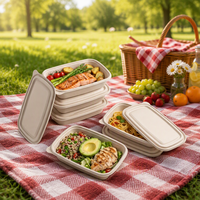 Boîte à lunch en amidon de maïs premium 500 ml, compartiment unique, biodégradable, avec couvercle, emballage en clamshell, 2 compartiments