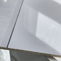 Panel de Techo de PVC sin Plomo, Ecológico, para Decoración de Interiores