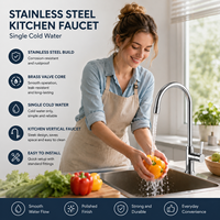 Robinet de cuisine moderne en acier inoxydable, monocommande, à poser sur le plan, pour eau froide, usage professionnel