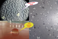 Feuille de revêtement de sol en caoutchouc de qualité supérieure de 3mm d'épaisseur pour train à balles/bus/métro | Tapis de sol élastique commercial robuste
