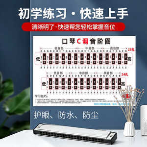 C2428 - Product Image 2