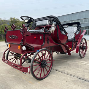 รถม้าไฟฟ้าสไตล์ยุโรปแบบราชวงศ์ สำหรับงานแต่งงาน รถม้าเหล็ก สำหรับเที่ยวชมสถานที่  ยานพาหนะพิเศษ - Product Image 1
