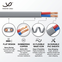 Cable de Alimentación Plano Flexible de Cobre/PVC/PVC, 300/500V, 2 Núcleos Paralelos, Cable Eléctrico con Aislamiento de PVC para Electrodomésticos