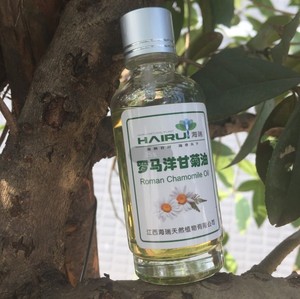 Vendita calda <span class=keywords><strong>olio</strong></span> <span class=keywords><strong>essenziale</strong></span> romano di <span class=keywords><strong>camomilla</strong></span> biologico puro al 100% - Product Image 3