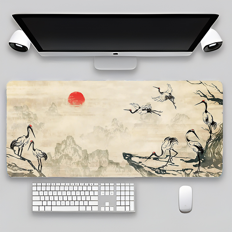 800x300x3cm