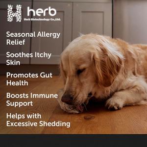 Golosinas para la Piel y el Pelaje de Mascotas de Marca Privada OEM/ODM, Masticables Blandos con Alto Contenido de Proteínas, Suplemento para Perros con Pelo Brillante, Omega 3 con Vitamina E - Product Image 2