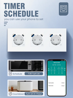 Prise murale intelligente Smartdust WIF EU 220V avec panneau en verre, surveillance de la consommation d'énergie, double/triple prises intelligentes, USB Type-C, programmation de l'horloge, compatible
