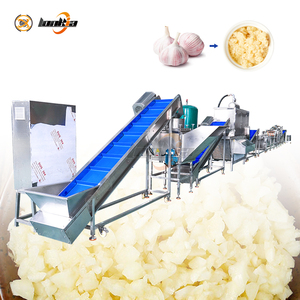 Impianto di Lavorazione dell'Aglio con <span class=keywords><strong>Separatore</strong></span> Automatico dei Bulbi, Macchina Pelatrice, <span class=keywords><strong>Lavatrice</strong></span> e <span class=keywords><strong>Asciugatrice</strong></span> Industriale e Attrezzatura per la Macinazione - Product Image 3