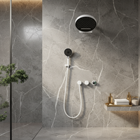 Ensemble de douche mural thermostatique en laiton poli à poignée unique, avec pommeau de douche à effet pluie et cartouche céramique, pour hôtels et villas