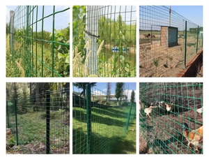 Wholesale Steel Welded <b>Wire</b> Mesh Fences Square Chicken <b>Wire</b> Mesh Engineering Isolation <b>Netting</b> PVC Coated Dutch <b>Wire</b> Mesh - Product Image 6