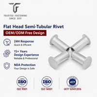 Rivets semi-tubulaires à tête plate personnalisés TianFang pour glissières de tiroirs-caisses, prototype, fer zingué, production OEM basée sur plans