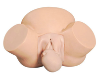 Modelo de Entrenamiento Avanzado en Obstetricia y Ginecología, Realista, Anatómico, para Escuelas de Medicina, Certificado ISO, Completamente Funcional, de PVC