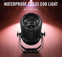 LED par 200W avec zoom RGBW COB Audience Blinder Light éclairage de scène extérieur IP65