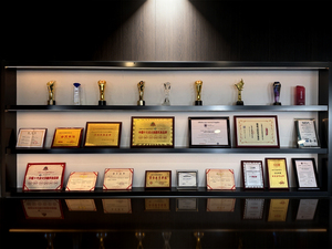 中国第二大工厂制造的马自达汽车点火线圈 OE PE0118100A |   <span class=keywords><strong>3</strong></span>针插头 |   <span class=keywords><strong>2</strong></span>年保修 |   100% 经过测试 |   NOA - Product Image 4