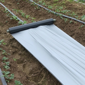 Plástico Negro para Acolchado Agrícola, Inhibe y Mejora la Temperatura del Suelo para Cultivos - Product Image 5