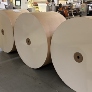 Rouleau géant de papier enduit de PE à largeur personnalisée, imperméable et résistant à l'huile, matière première pour la conversion en éventails de gobelets vierges - Product Image 4