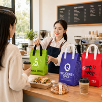 Sacs isothermes et sacs thermiques non tissés personnalisés 30L, imperméables, réutilisables, pour la livraison de repas, impression de logo, fournisseur pour restaurants