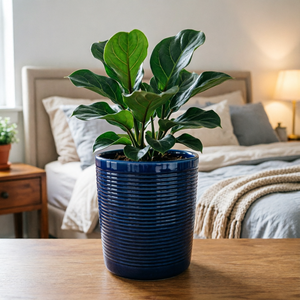Nouveauté 2026 : Pots <span class=keywords><strong>de</strong></span> fleurs en céramique côtelée minimalistes pour la <span class=keywords><strong>d</strong></span>écoration moderne <span class=keywords><strong>de</strong></span> la maison et du jardin, plantes et fleurs <span class=keywords><strong>d</strong></span>'intérieur - Product Image 3