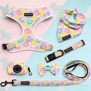 <span class=keywords><strong>2026</strong></span>年バレンタインデー エコフレンドリーデザイン プライベートラベル カスタムプリント 調整可能 ノープル ペット犬用ハーネス リード 首輪セット - Product Image 5